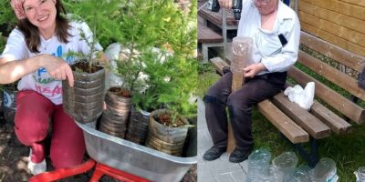 Двести саженцев для Святой Курихи